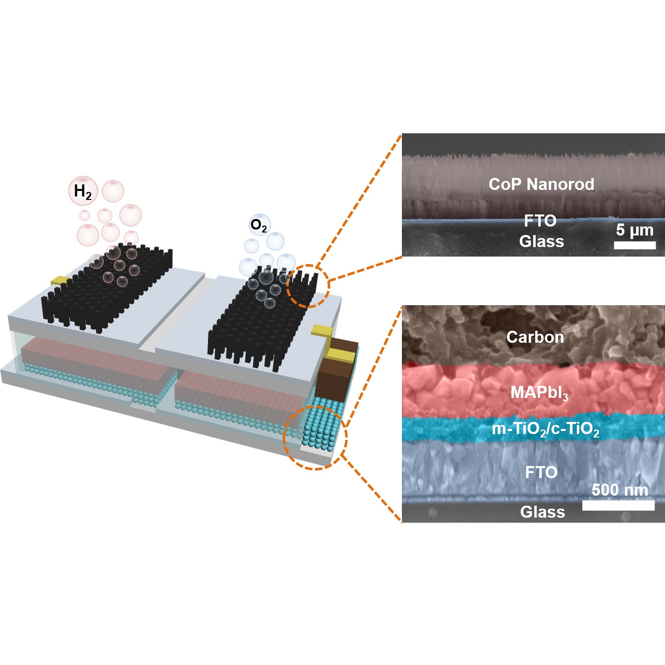 A real integrated device consisting of two series-connected perovskite solar cells (PSCs) and two CoP catalyst electrodes was proposed, which can be immersed into the aqueous solution directly for solar-driven water splitting. Benefiting from the low-cost and facile encapsulation technique, this artificial leaf possesses a compact structure and well-connected circuits for the process of charge carriers generation, transfer, and storage, revealing a solar-to-hydrogen efficiency of as high as 6.7%.