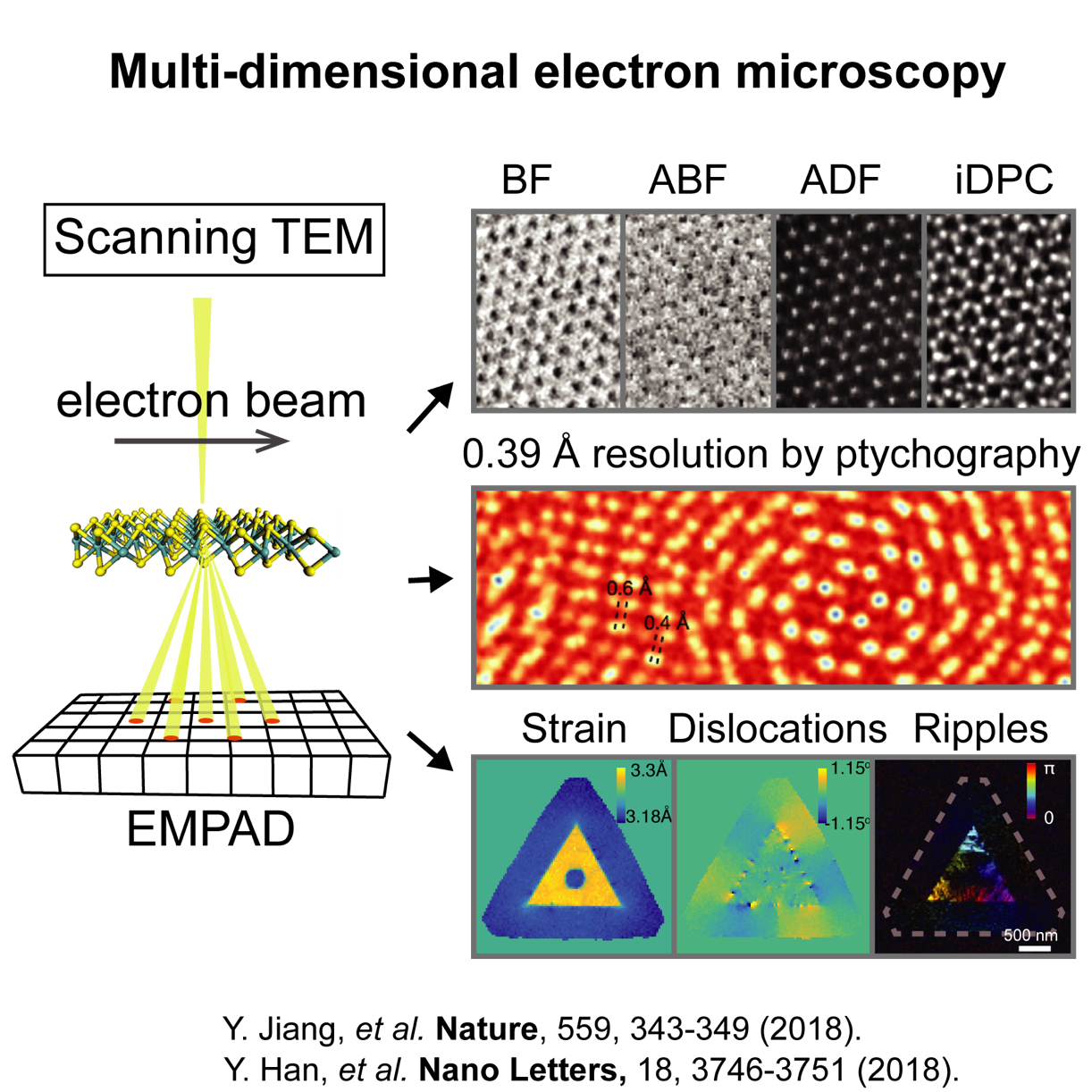 Multi-dimensional electron microscopy