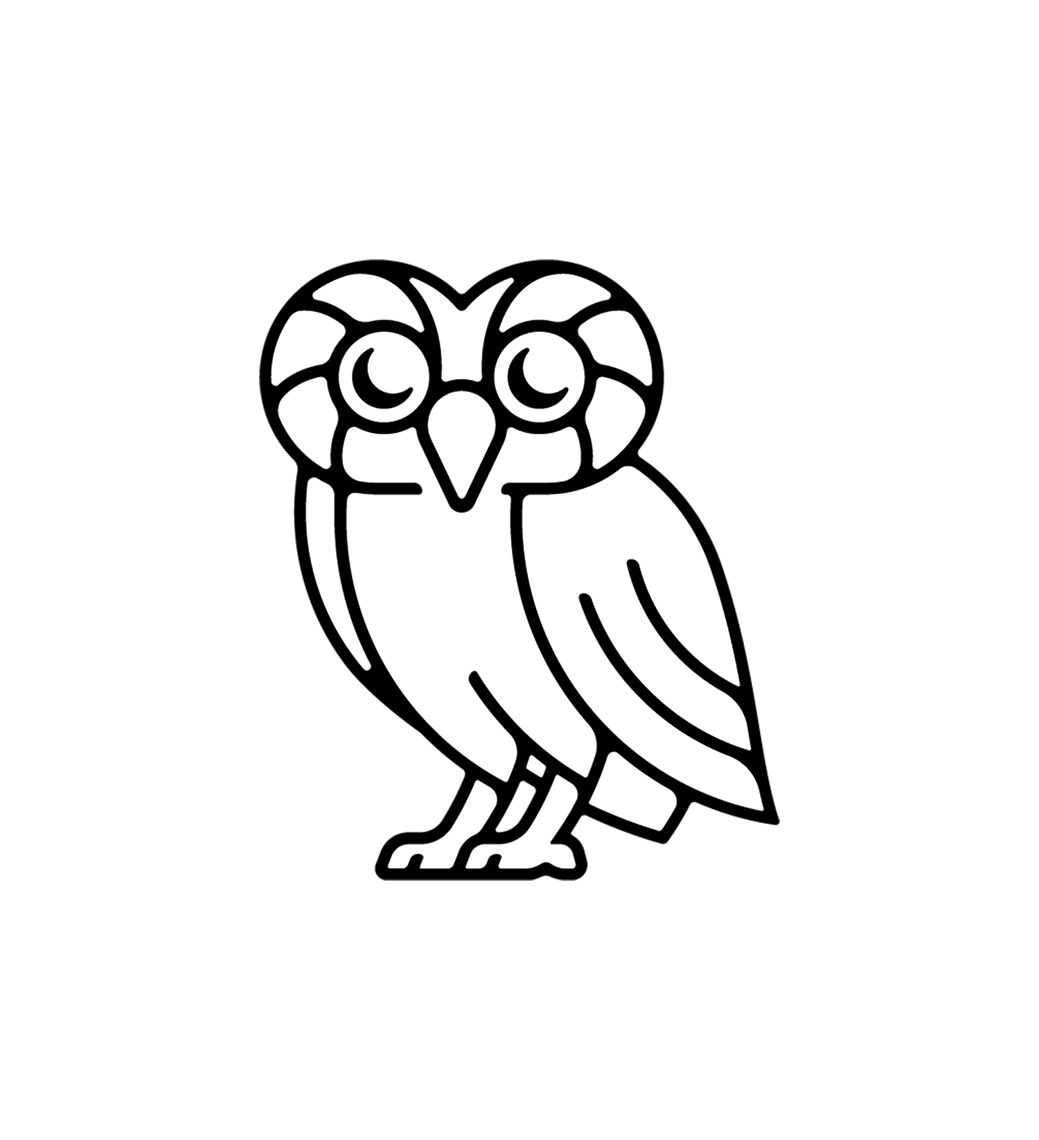 Rice owl image