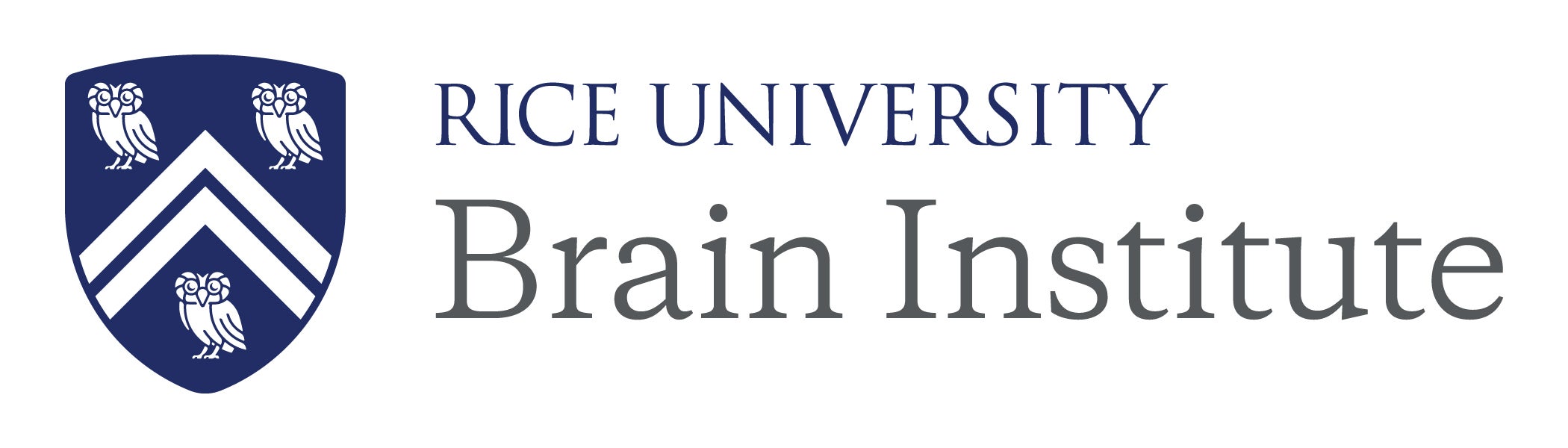Rice Brain Institute Logo 